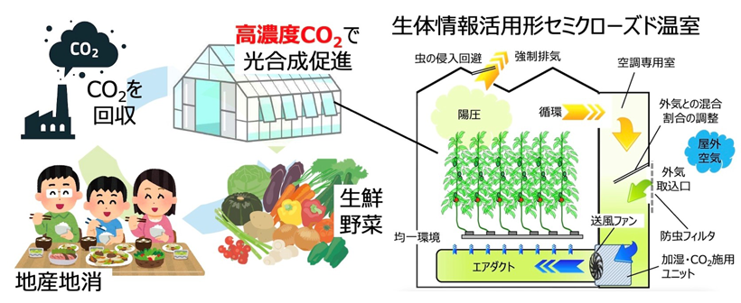 地域産業が排出するCO2の地消するセミクローズド温室